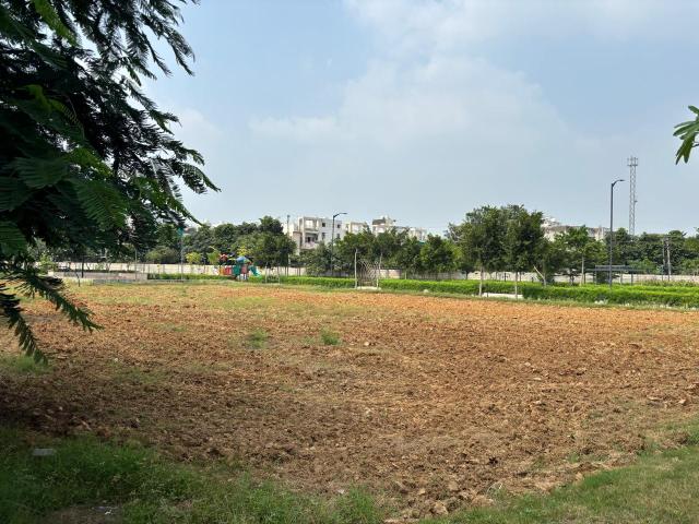 Land for sale in Hariana
