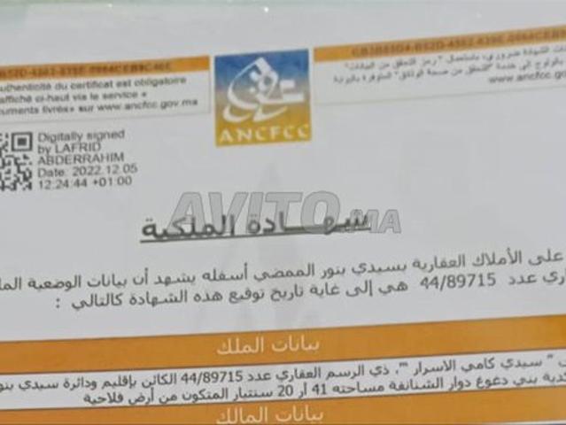 Propriété vente à Sidi Bennour, Gharb-Chrarda-Beni Hssen