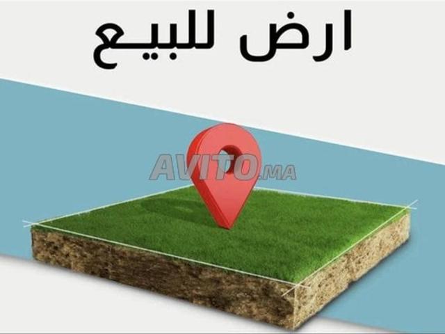 Propriété vente à Zagora