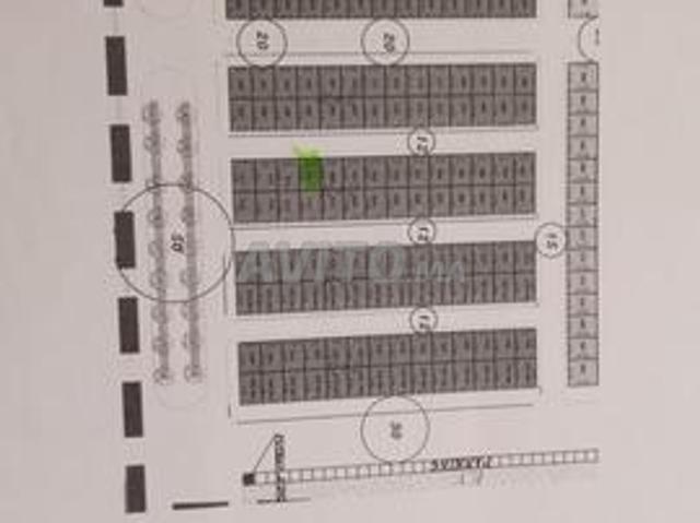 Propriété vente à Driouch