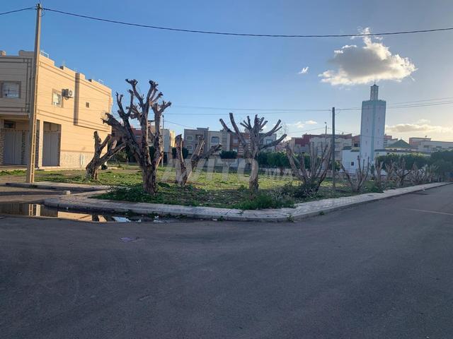 Propriété vente à Sidi Qacem