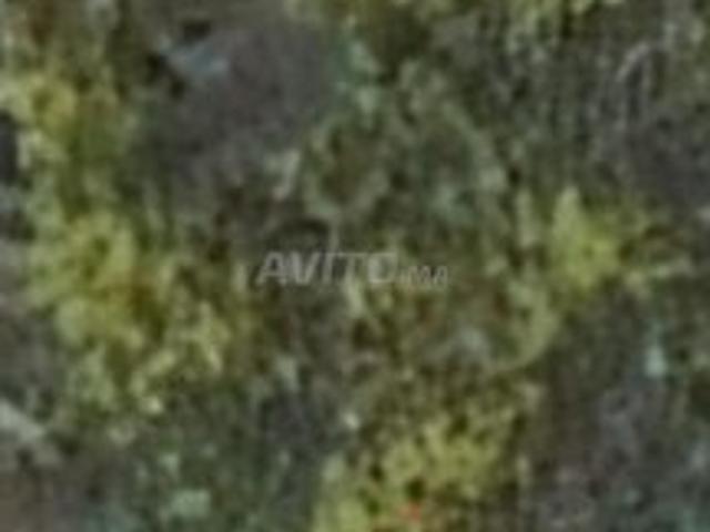 Propriété vente à Rbat