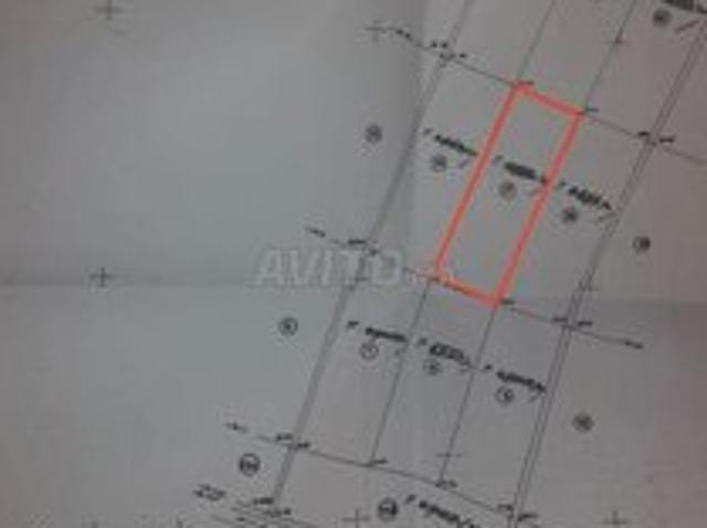 Propriété vente à Laattaouia, L'Oriental