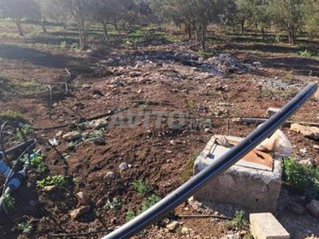Propriété vente à Derb Omar, Settat