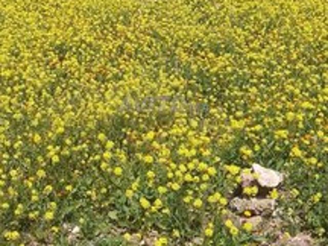 Propriété vente à Oulad Salah, Gharb-Chrarda-Beni Hssen