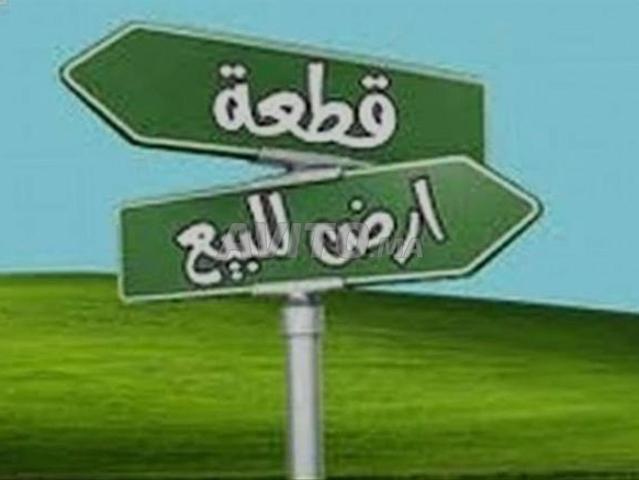 Propriété vente à Chichaoua, L'Oriental