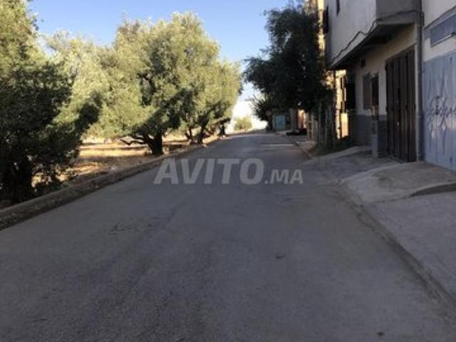 Propriété vente à Mellal
