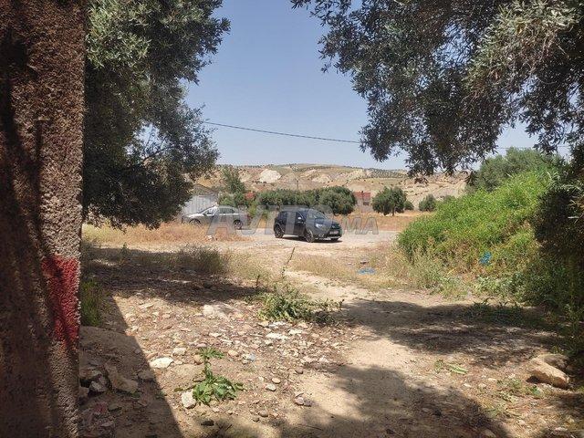 Propriété vente à Al Haouz, L'Oriental