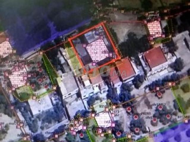 Propriété vente à Tasa