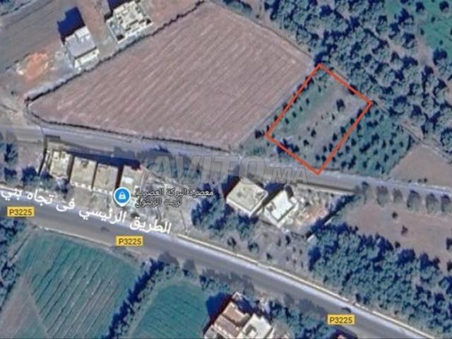 Propriété vente à Mellal
