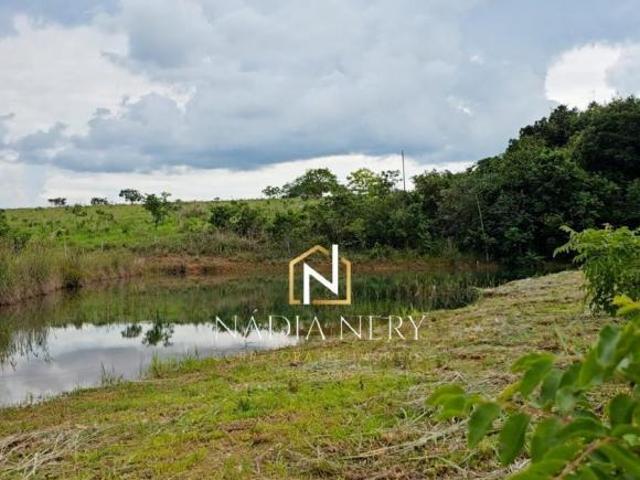 Sítio e chácara venda em Região Geográfica Imediata de Luziânia, Região Integrada de Desenvolvimento do Distrito Federal e Entorno