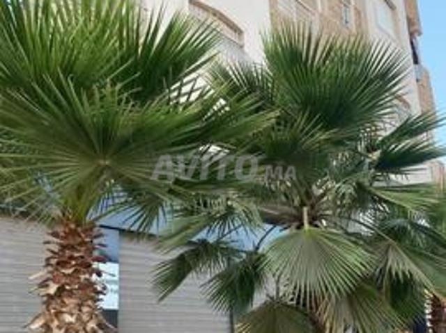 Appartement vente à Settat, Gharb-Chrarda-Beni Hssen