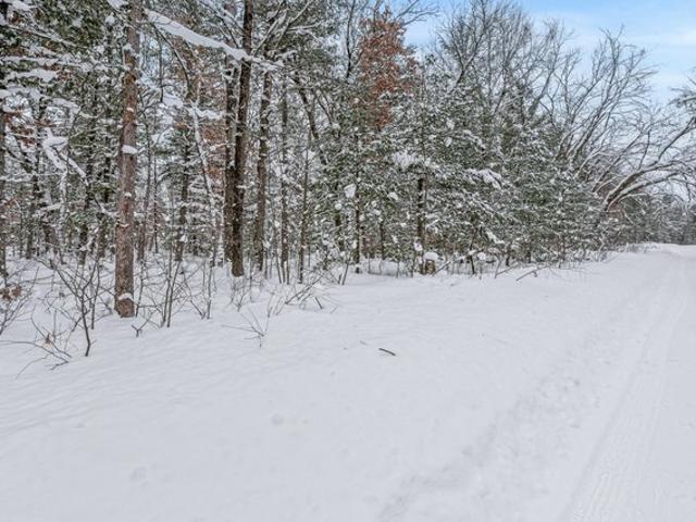Land for sale in Baldwin, Michigan