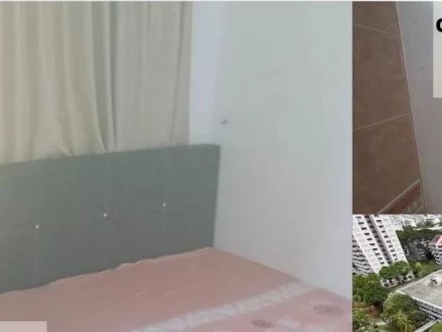 Apartment for rent in Braddell, Singapore