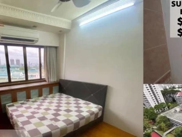 Apartment for rent in Braddell, Singapore