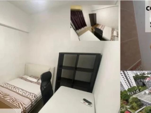Apartment for rent in Braddell, Singapore