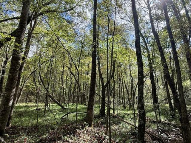 Farm for sale in Tennessee
