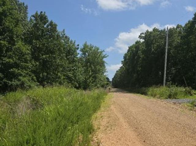 Land for sale in Bradford, White County
