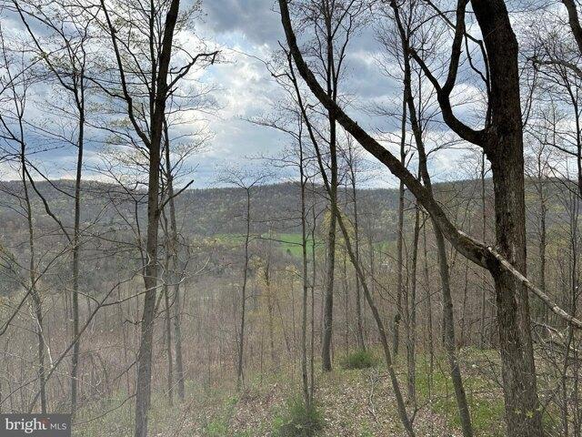 Land for sale in Bradford, Pennsylvania