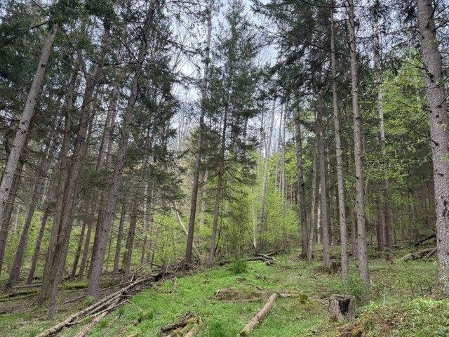 Land for sale in Bradford, Pennsylvania