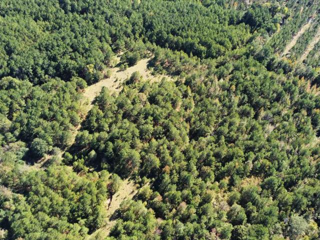 Land for sale in Ark
