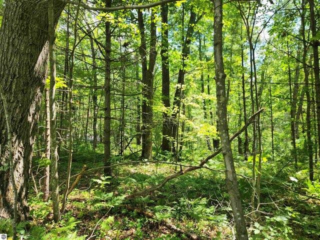 Land for sale in Kalkaska, Michigan