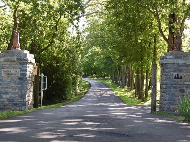 Land for sale in Lexington