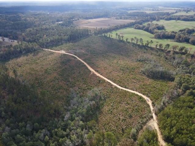 Land for sale in Leakesville, Mississippi