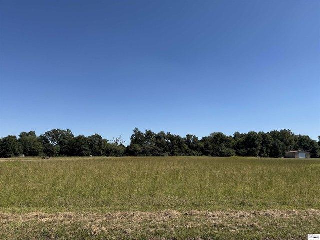 Land for sale in Rayville, Louisiana