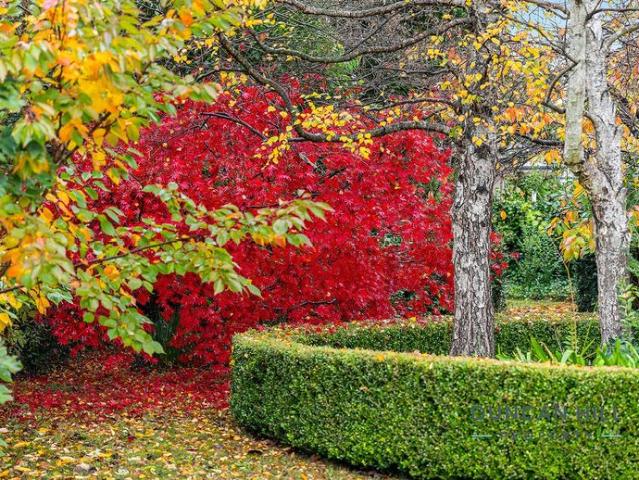 House for rent in Bowral, New South Wales