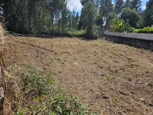 Terreno venda em Braga