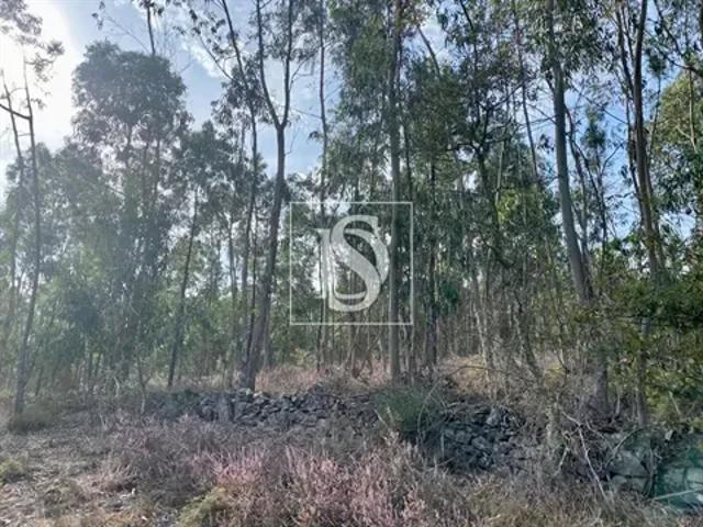 Terreno venda em Braga