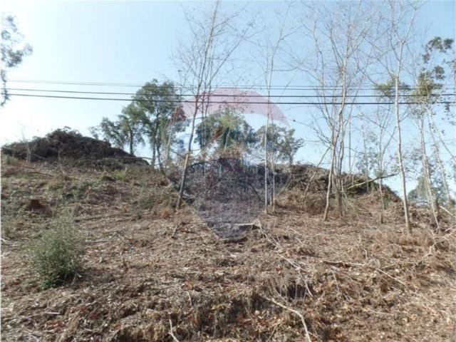 Terreno venda em Cabreiros e Passos (São Julião), Braga