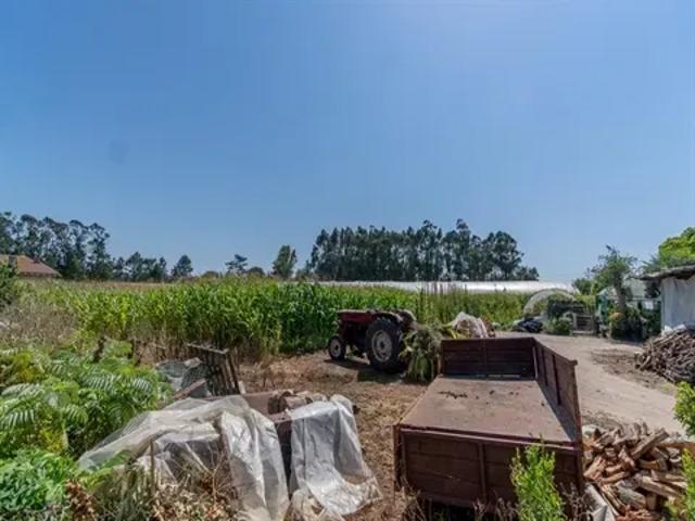 Terreno venda em Braga
