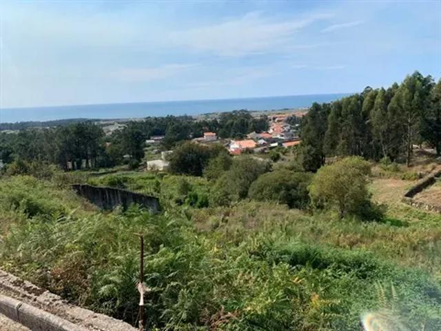 Terreno venda em Braga
