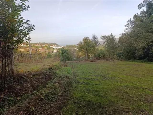 Terreno venda em Braga
