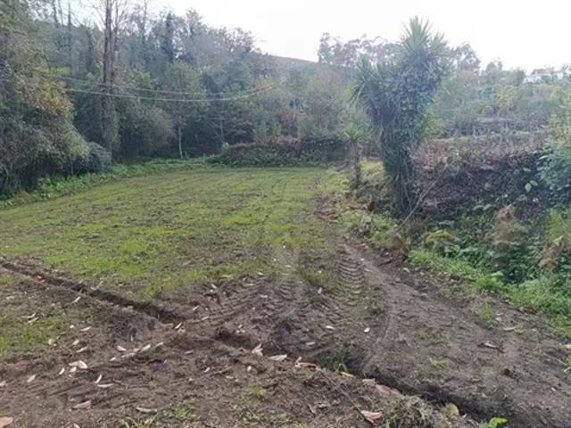 Terreno venda em Braga