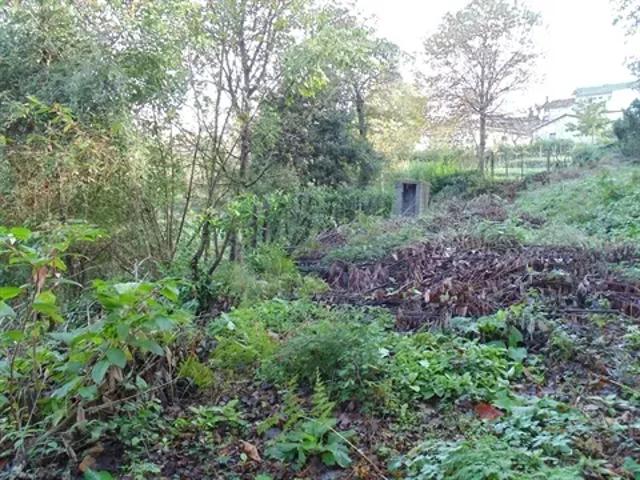 Terreno venda em Braga