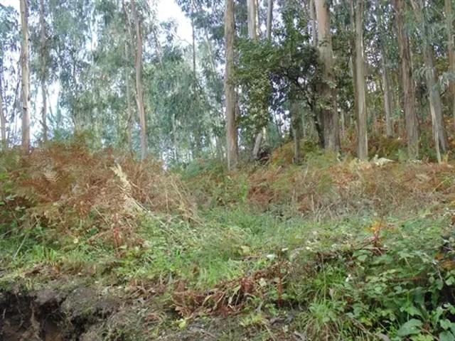 Terreno venda em Braga