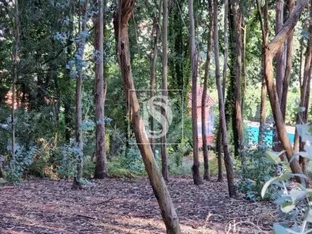 Terreno venda em Braga