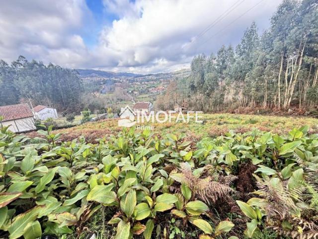 Terreno venda em Ribeiro da Ova, Fafe