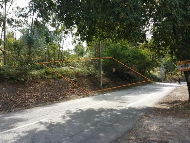 Terreno venda em Devezinha, Fafe