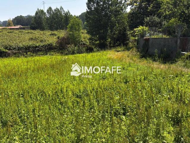Terreno venda em Bairro da Cumieira, Fafe