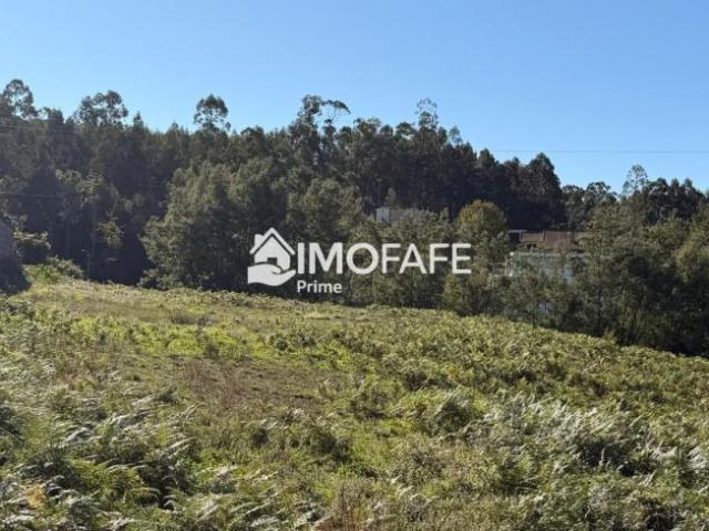 Terreno venda em Regadas, Fafe