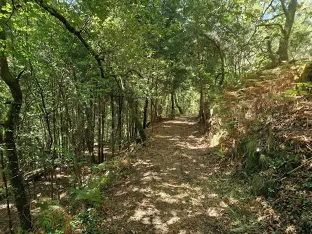 Terreno venda em Parada Do Bouro, Braga