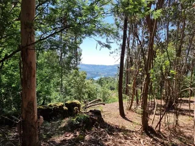 Terreno venda em Parada Do Bouro, Braga