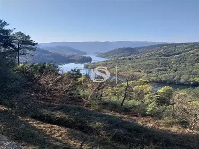 Terreno venda em Parada Do Bouro, Braga