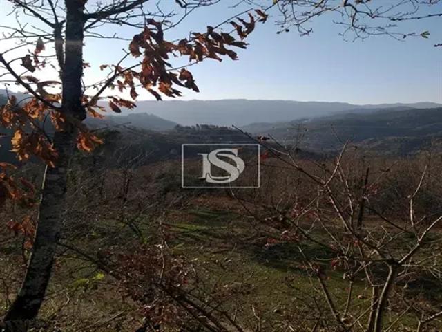 Terreno venda em Parada Do Bouro, Braga