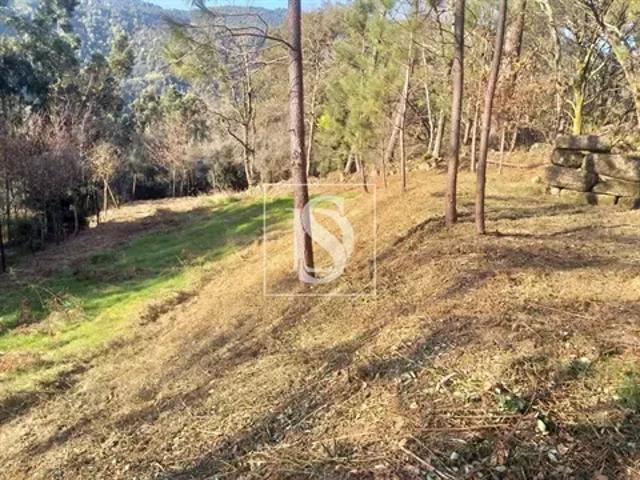 Terreno venda em Parada Do Bouro, Braga