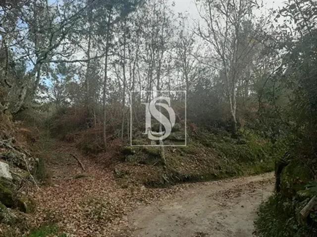 Terreno venda em Parada Do Bouro, Braga